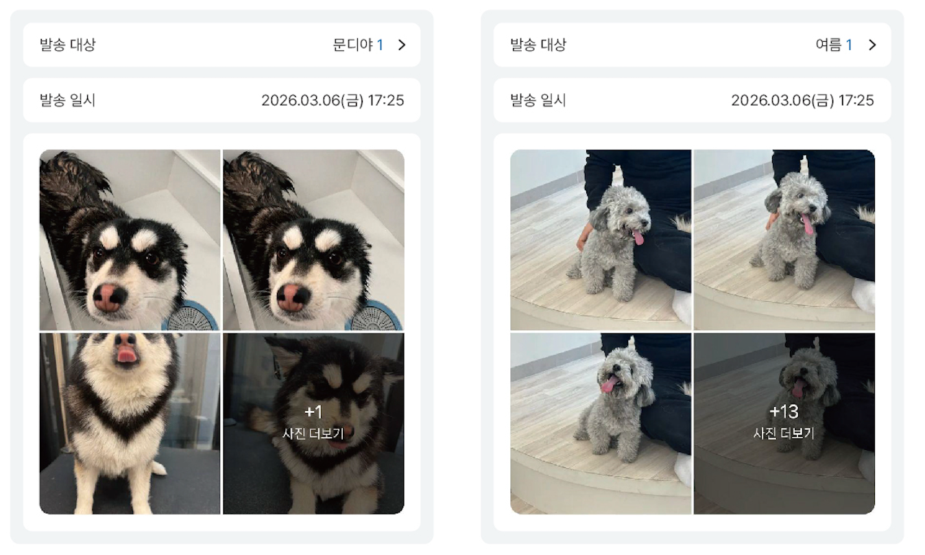 실시간 소통 & 안심 케어